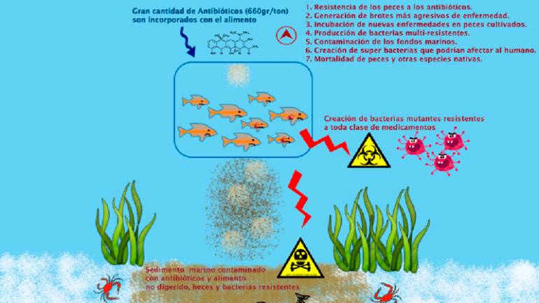Adjudicación de Proyecto CORFO, Programa INNOVA. Proyecto N° 13IDL2-18697, periodo 2014-2016, titulado “Identificacion de peptidos antimicrobianos desde moluscos litorales chilenos y potencial uso biotecnologico”